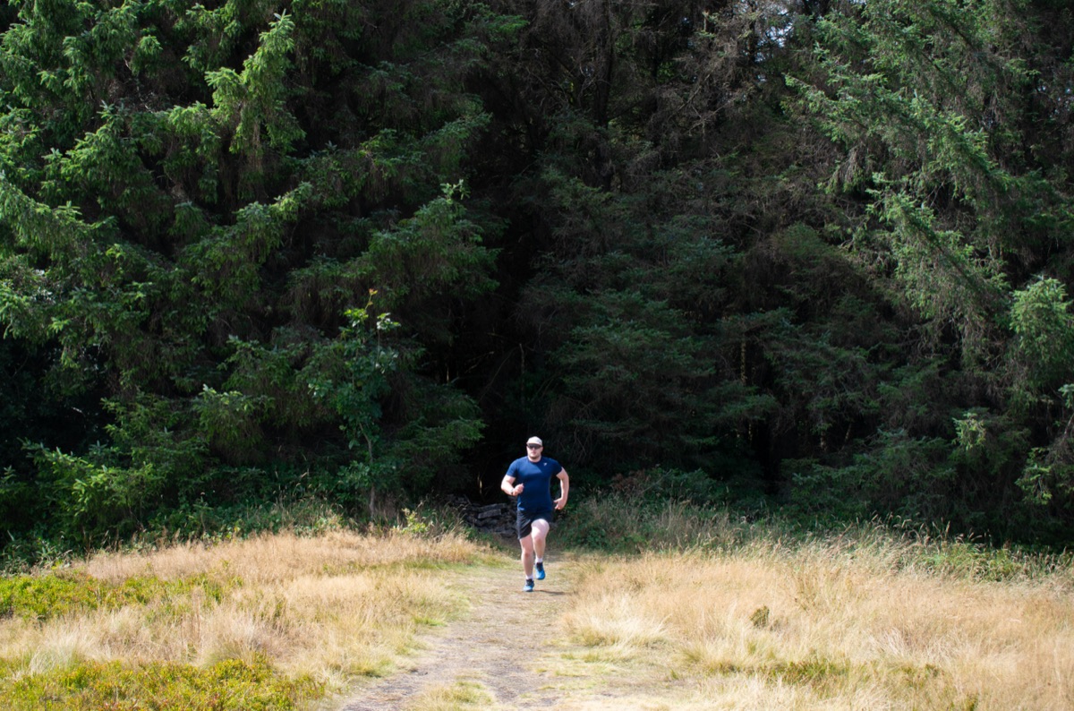 Shea running from woodland into open ground